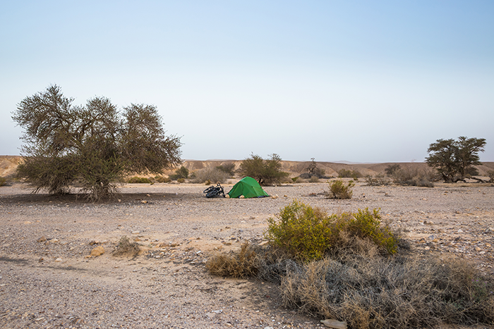 Photo of a green tent in the middle of the desert with sands and a few trees